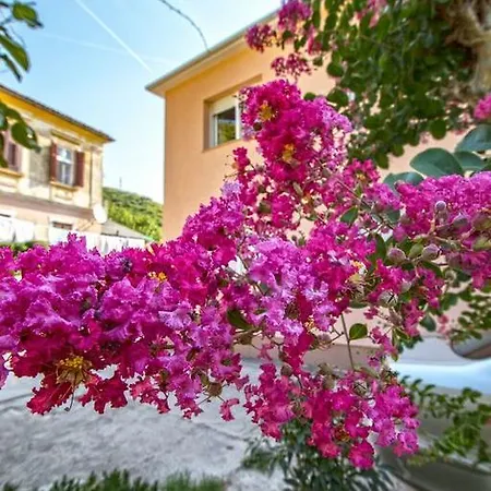 Apartman Nena Crikvenica Exterior photo
