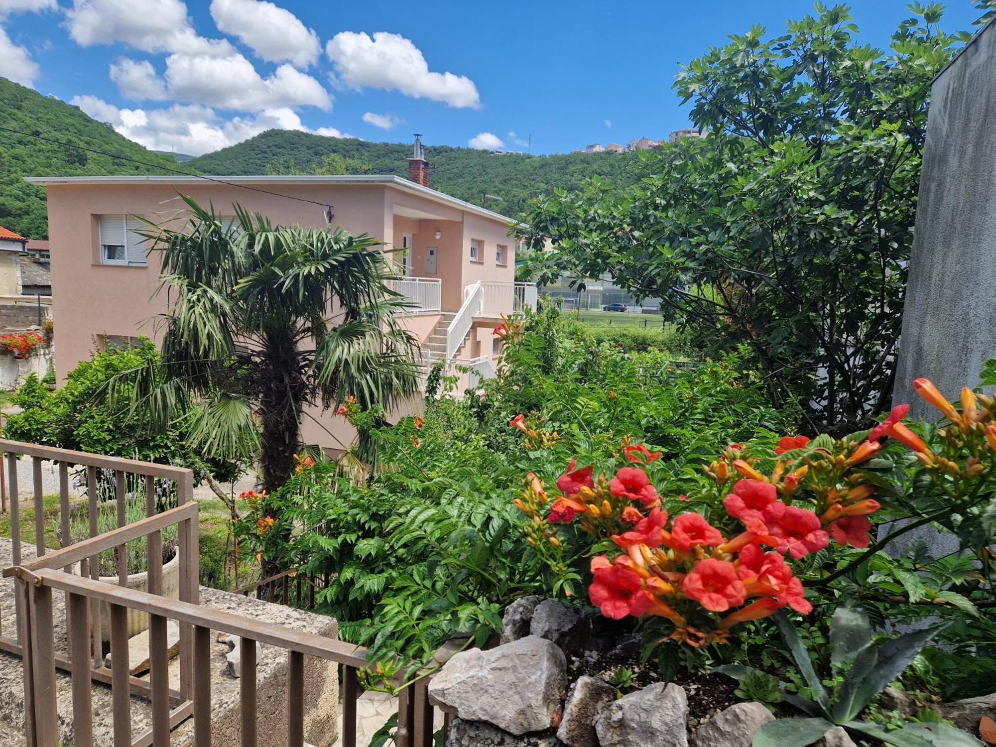 Apartment Nena