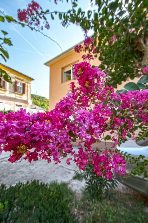Apartment Nena Crikvenica